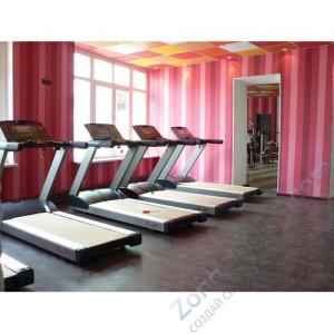 Беговая дорожка AeroFIT 8700TM 10LCD