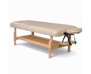 Массажный стационарный стол DFC Superior TS100/2