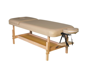 Массажный стационарный стол DFC Superior2 TS200/2 с регулировкой для спины/ног