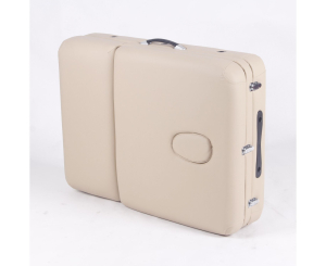 Массажный стол DFC Profi3 TS312H складной