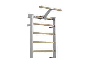 Шведская стенка, натуральное дерево/светло-серый Xenjoy XW5L