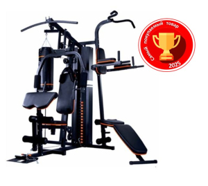 Силовая станция трехпозиционная Altezani Gym 001