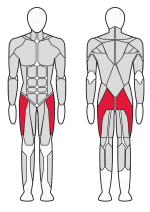 Тренажер для отводящих мышц бедра Fitex Pro FTX-61F23
